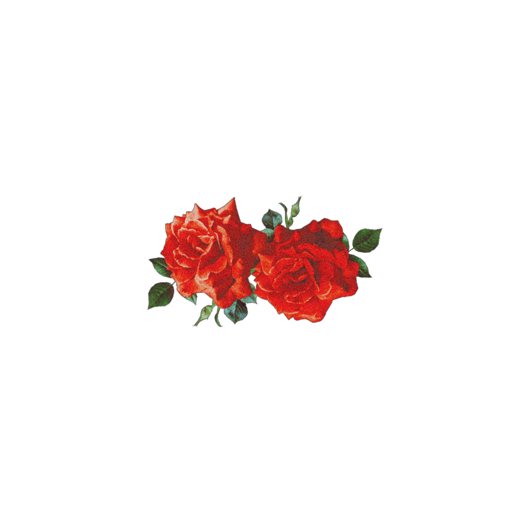  sticker  flower rose roses aesthetic  red  remix remixit 
