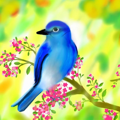 #dcspringbirds,#springbirds