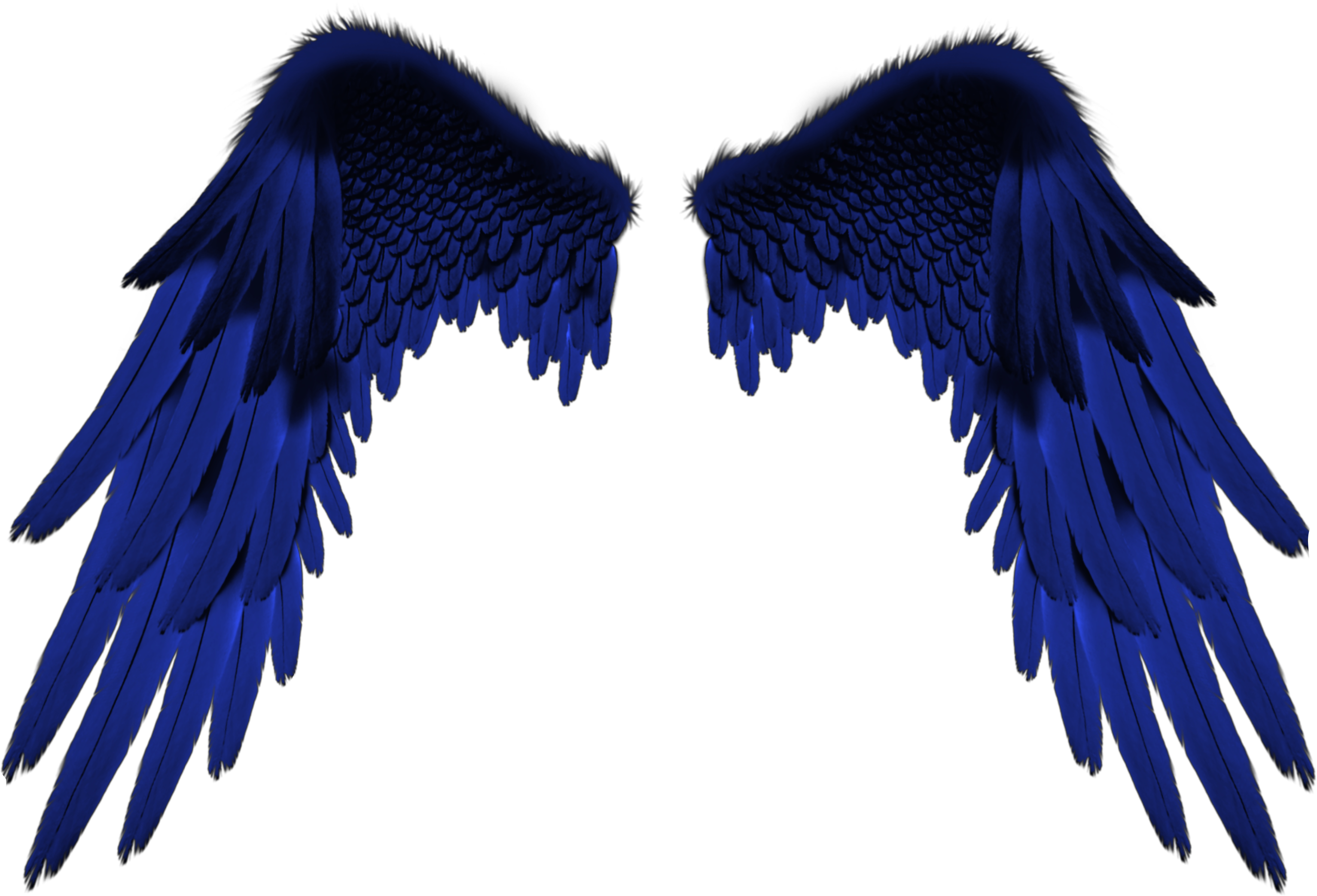 Крылья картинки. Синие Крылья. Синие Крылья ангела. Ребенок с крыльями. Крылья на белом фоне.