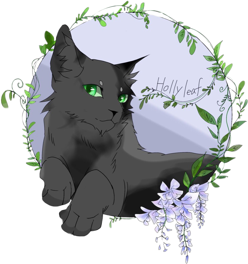 Коты Воители Остролистая. Коты Воители Hollyleaf. Коты Воители мята. Коты Воители Лисохвостка.