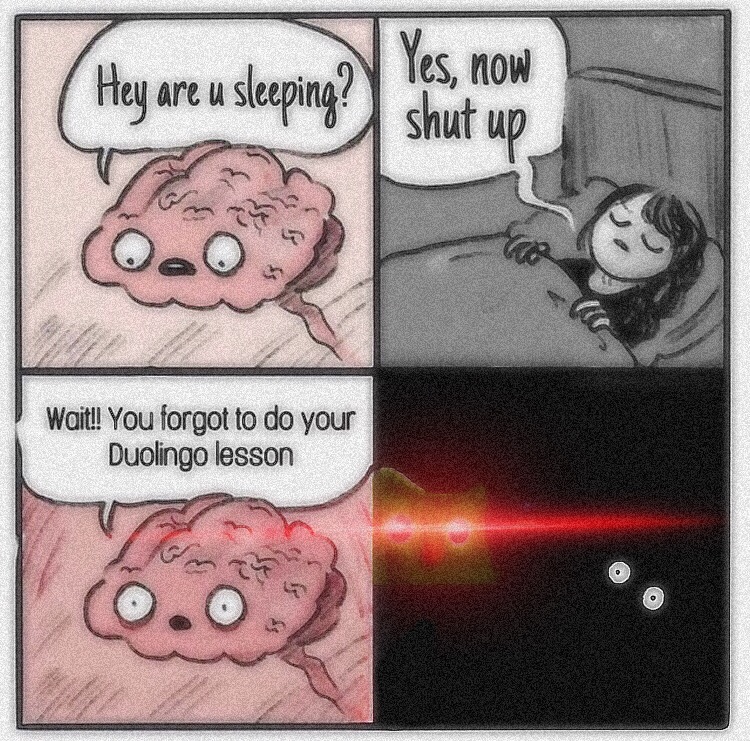 Meme Brain Duolingo Image By Mr Meme Maker