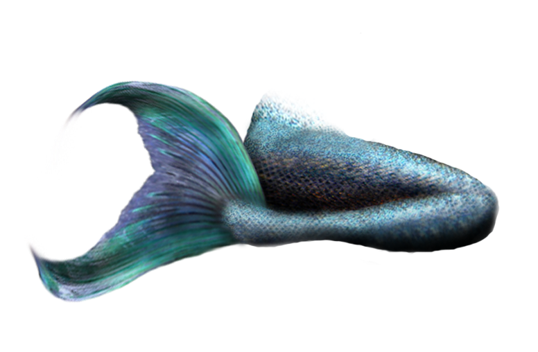 This visual is about mermaid tail mermaidtail sirena freetoedit #mermaid #t...