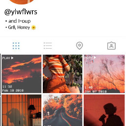 cute orange aesthetic insta instagram
