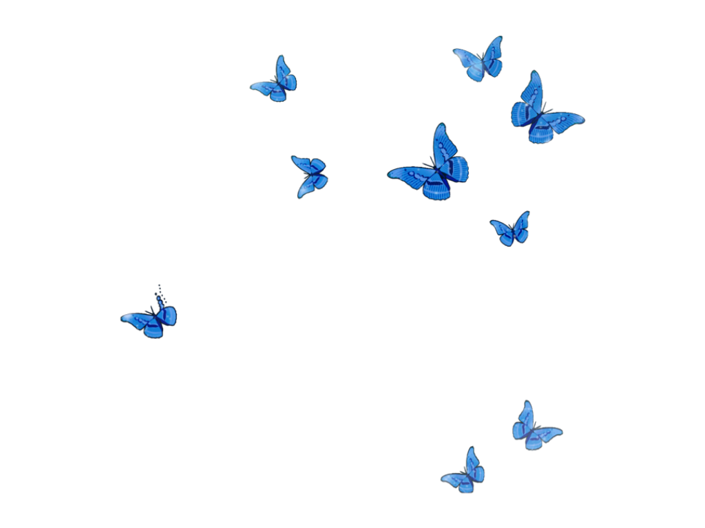 Wallpaper Blue Butterfly Aesthetic - Vote Wallpaper