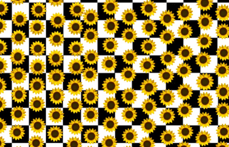 checkerboard sunflower