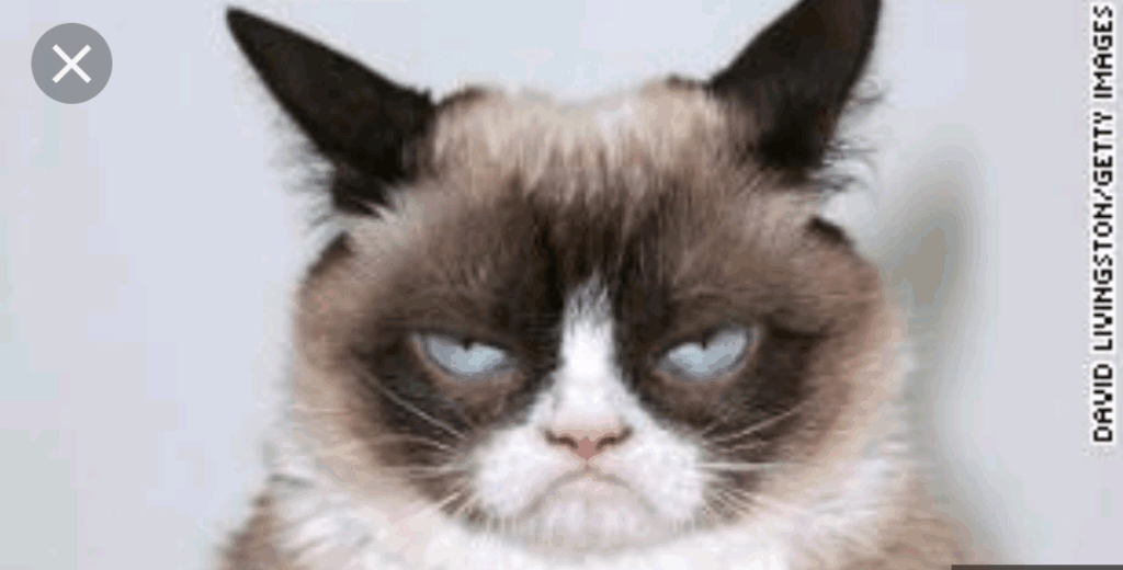 Gif By Call Me Le Wrinkel Boi Gif By Call Me Le Wrinkel Boi