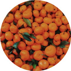orange fruit circle background tumblr freetoedit
