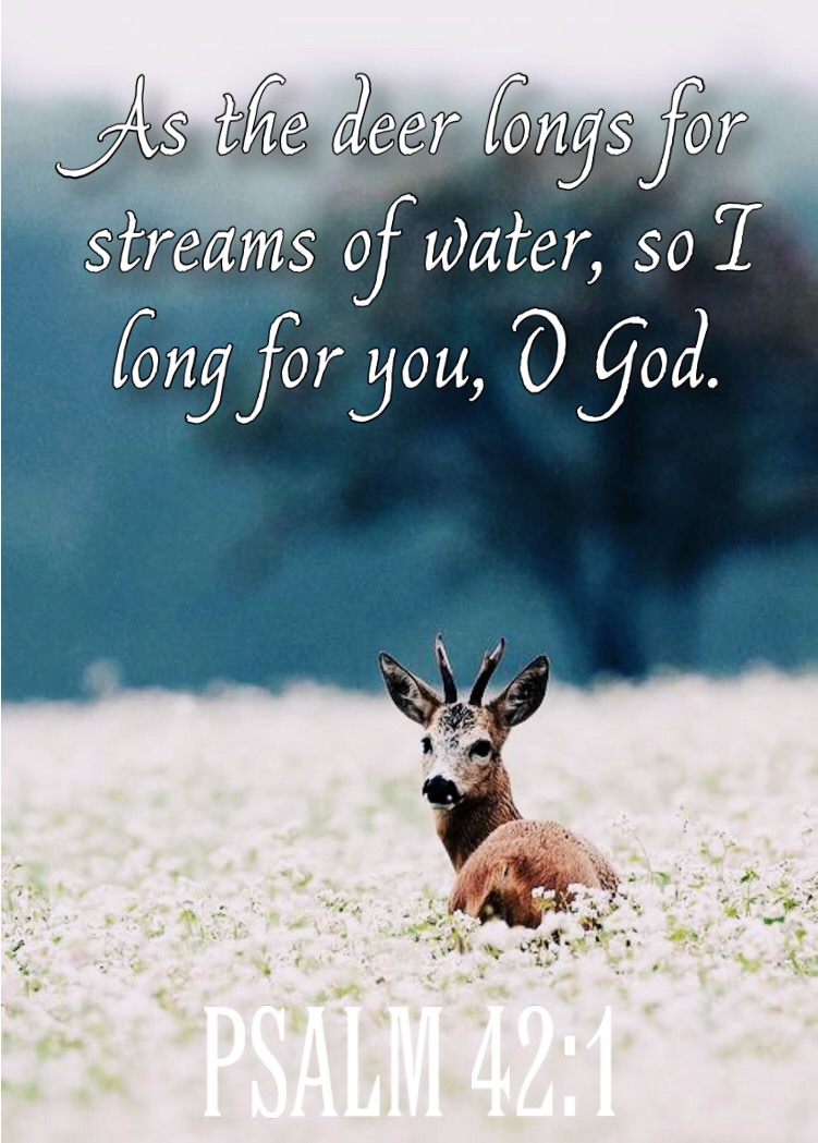 As the deer longs for streams of water, so I long for you, O God. Psalm ...