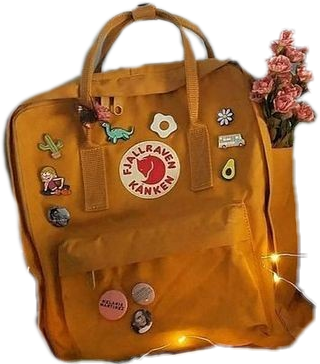 aesthetic fjallraven kanken bag