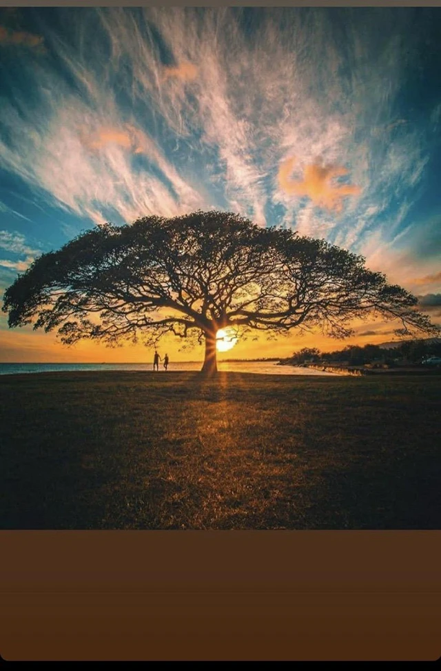 Hello My Beautiful Friends Image By Joanna Albarran Hello My Beautiful Friends Image By Joanna Albarran