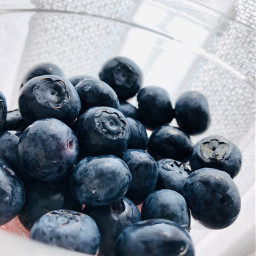 pcberries berries blueberry