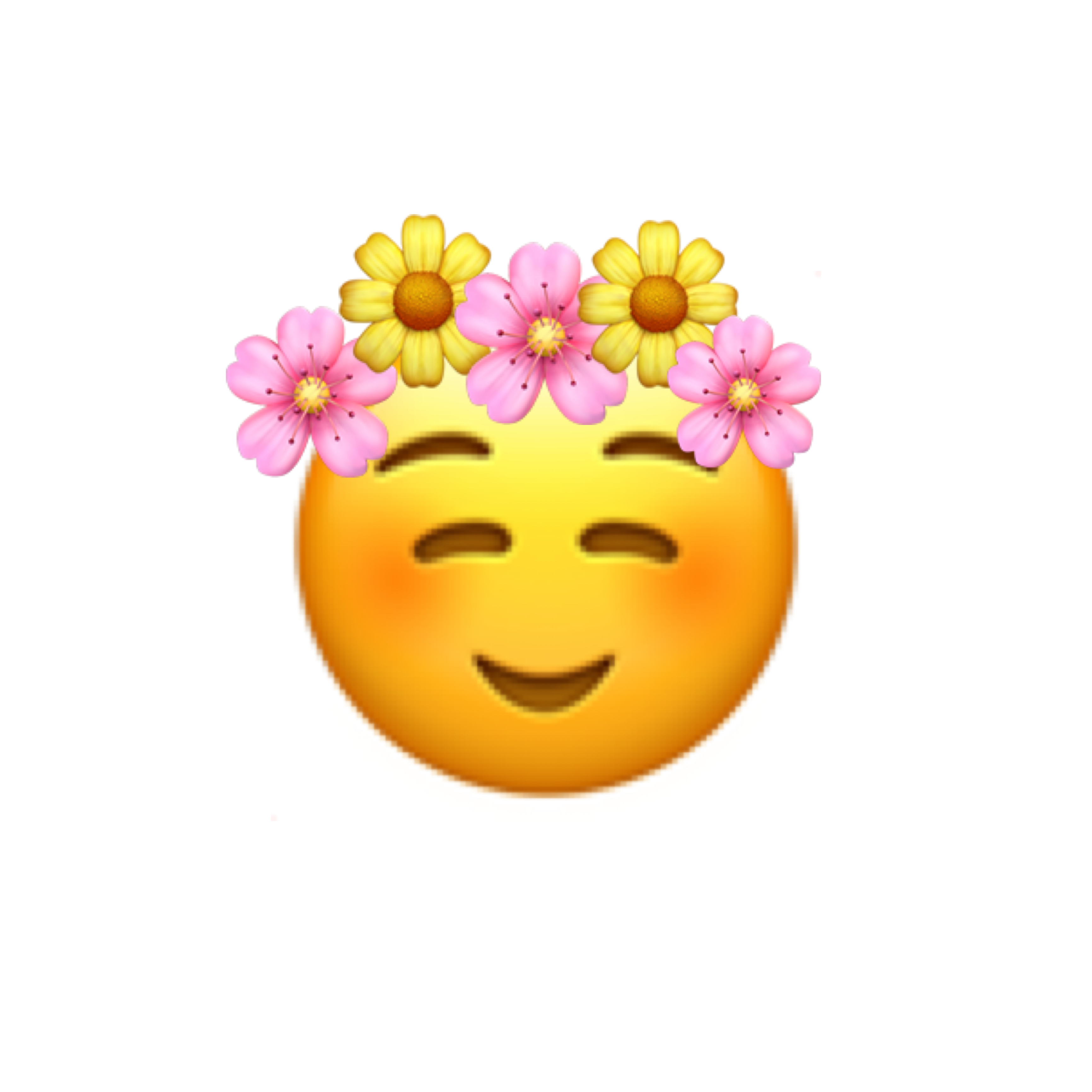 Emoji Flower Crown Best Flower Site