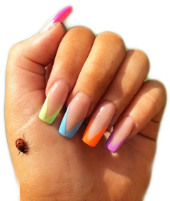 nails rainbow ladybug pngs sticker freetoedit