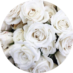 circle aesthetic white rose roses freetoedit