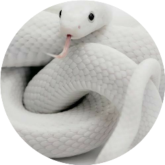 circle aesthetic white snake animals freetoedit