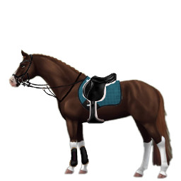 freetoedit horse saddle