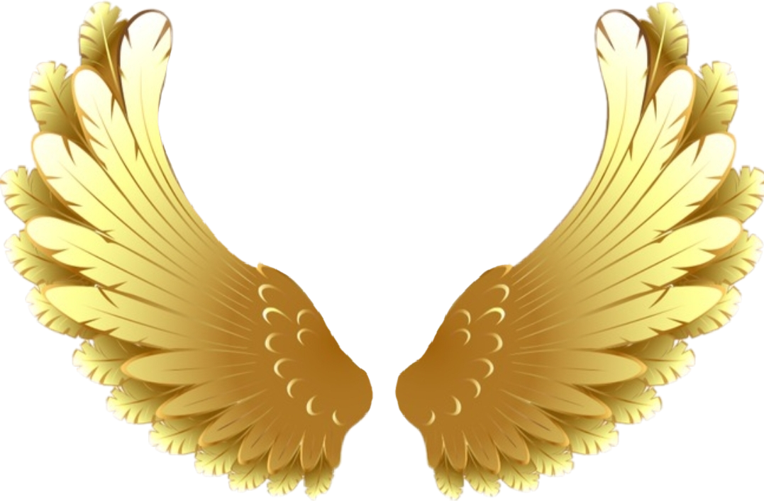 freetoedit goldwings wings golden sticker by @haelilulu