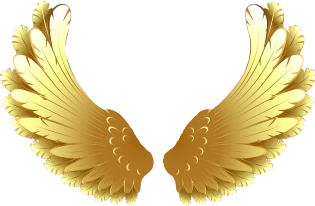 Золотистые крылья. Золотые Крылья ангела. Золотые Крылья на прозрачном фоне. Золотые ангельские Крылья.