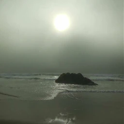 sunshine fog ocean beach pcbeautifulsun pcbeachtime pcgloomyweather freetoedit