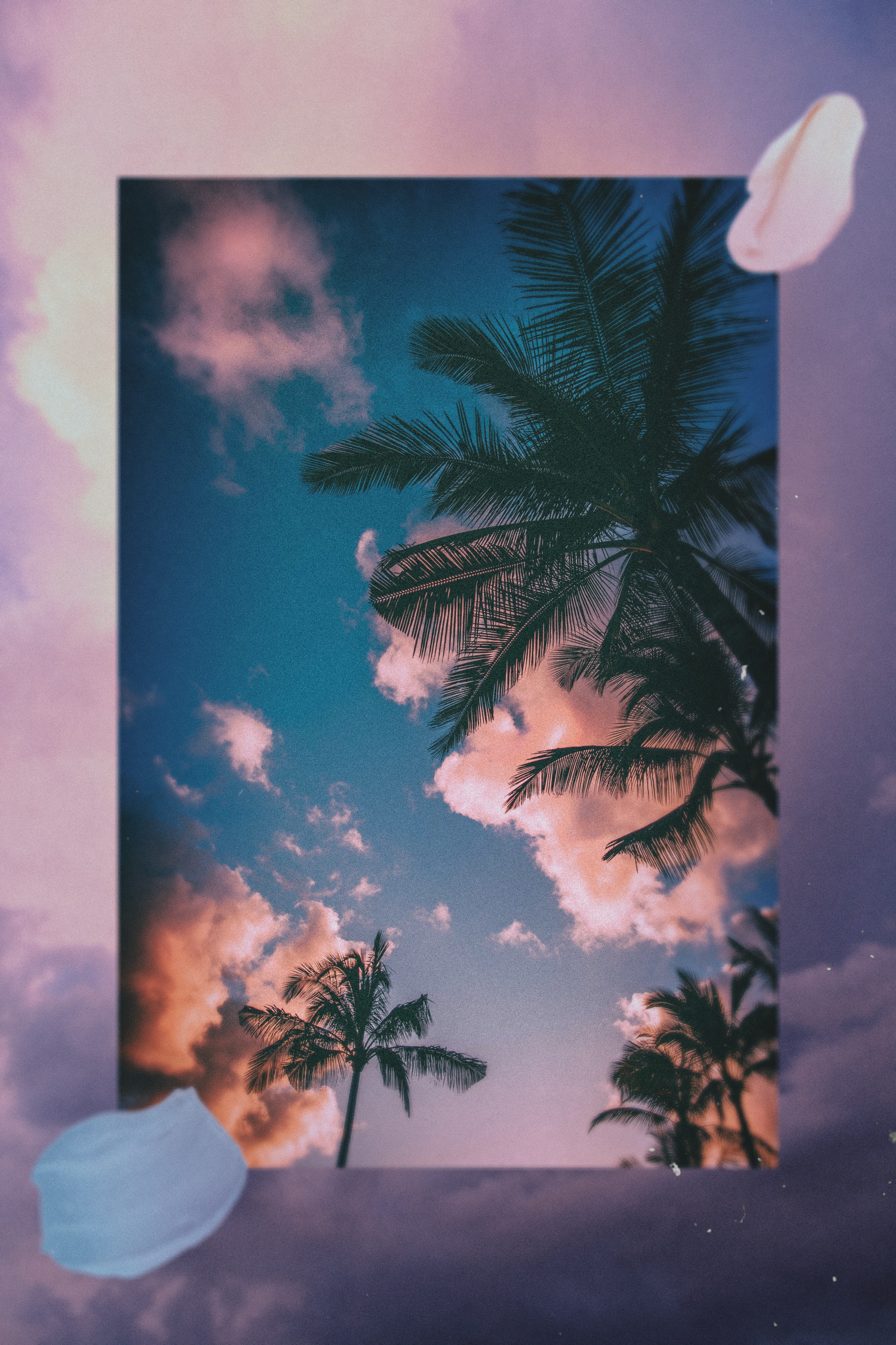 freetoedit aesthetic summer collage palmtrees...