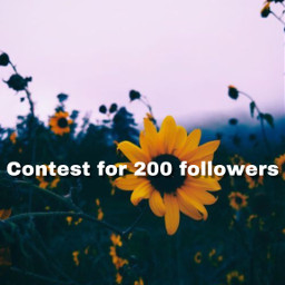contest followers contestsubmission billieeilish shawnmendes freetoedit