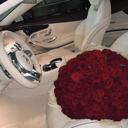 white red roses mercedes luxury