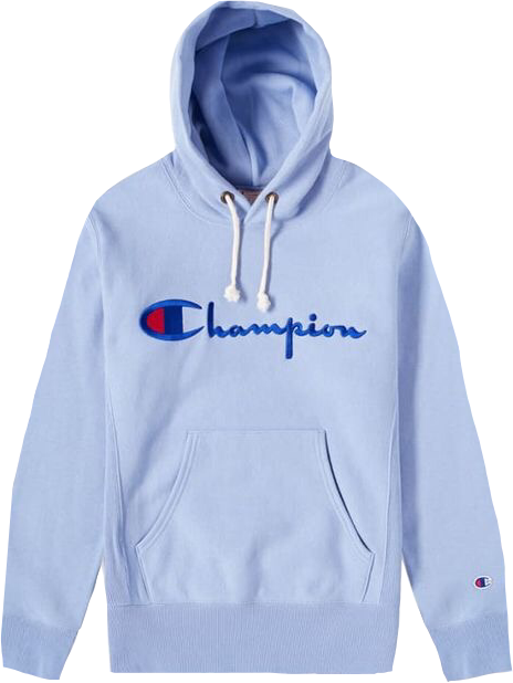 aesthetic champion hoodie