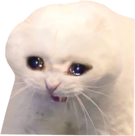  Sad  Cat  Meme Transparent Best Cat  Wallpaper