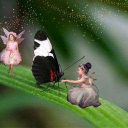 ectinypeople tinypeople freetoedit fantasy fairies