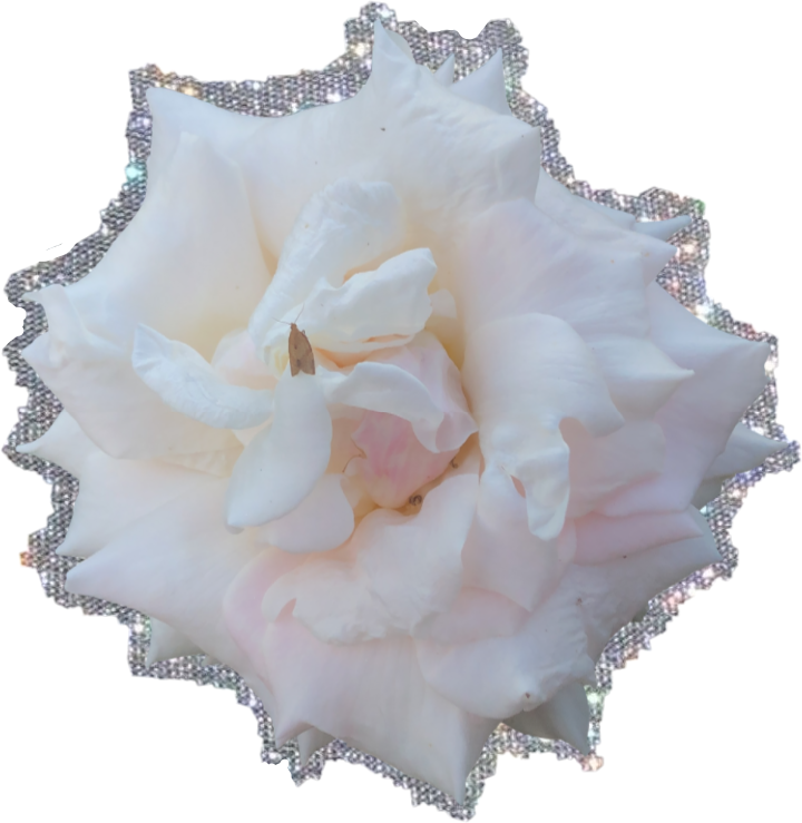 glitter aesthetic rose sticker sparkles sticker by tommo_28