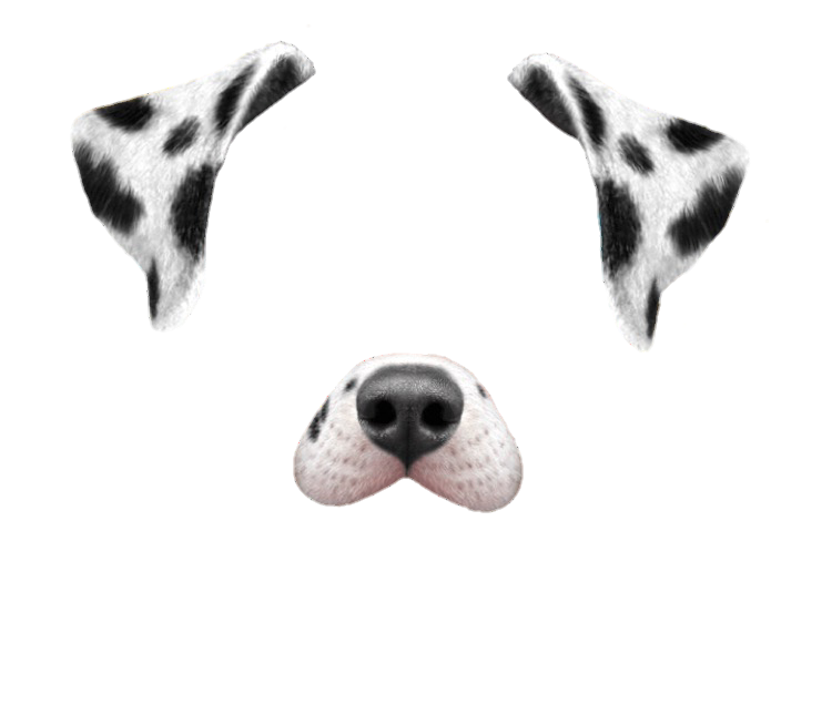 Cow Black White Snapchatfilter Sticker By Boyfandom