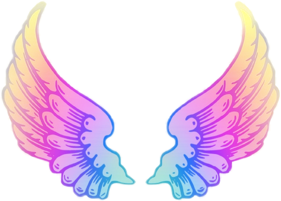 wings angel colored freetoedit #wings sticker by @emma_5959