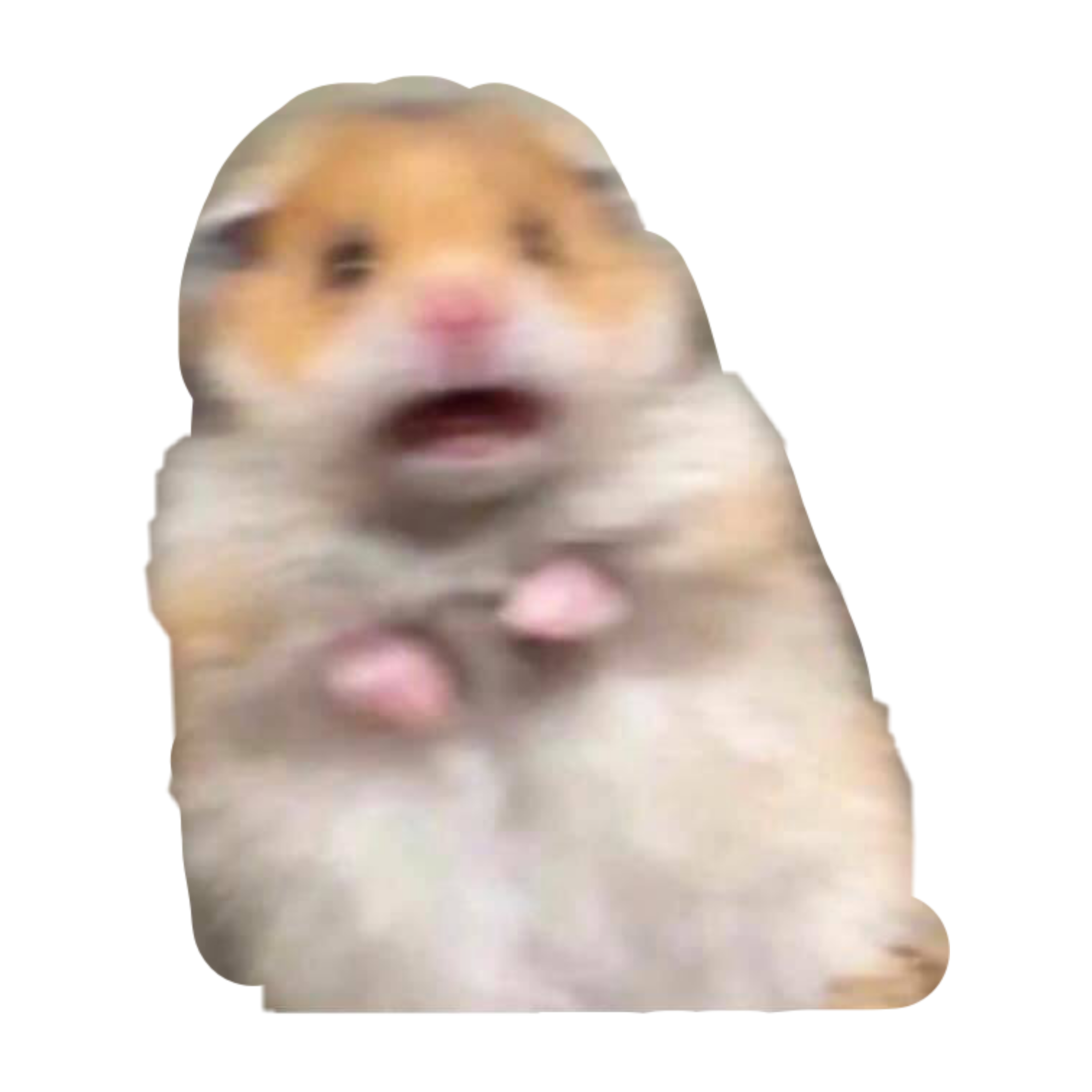 hamster meme reaction reactionmeme sticker by @parkgemin.