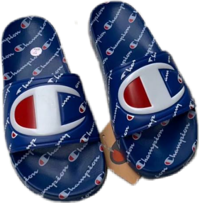 champs champion slides