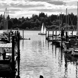freetoedit harbor marina blackandwhite sailing pcblacknwhite