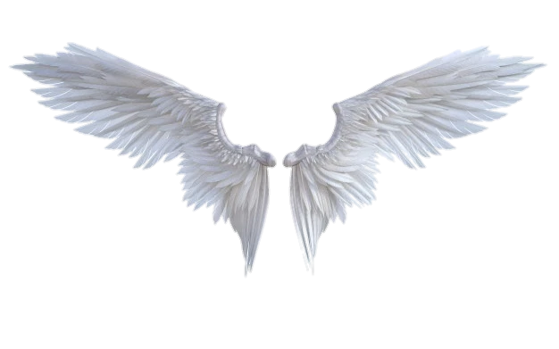 images Aesthetic Black And White Wings angel white wings popular idk sticker