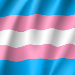 trans transflag lgbt lgbtq transgender