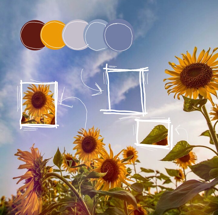 Aesthetic Sunflowers Pictures Largest Wallpaper Portal - minecraft and roblox sunflower