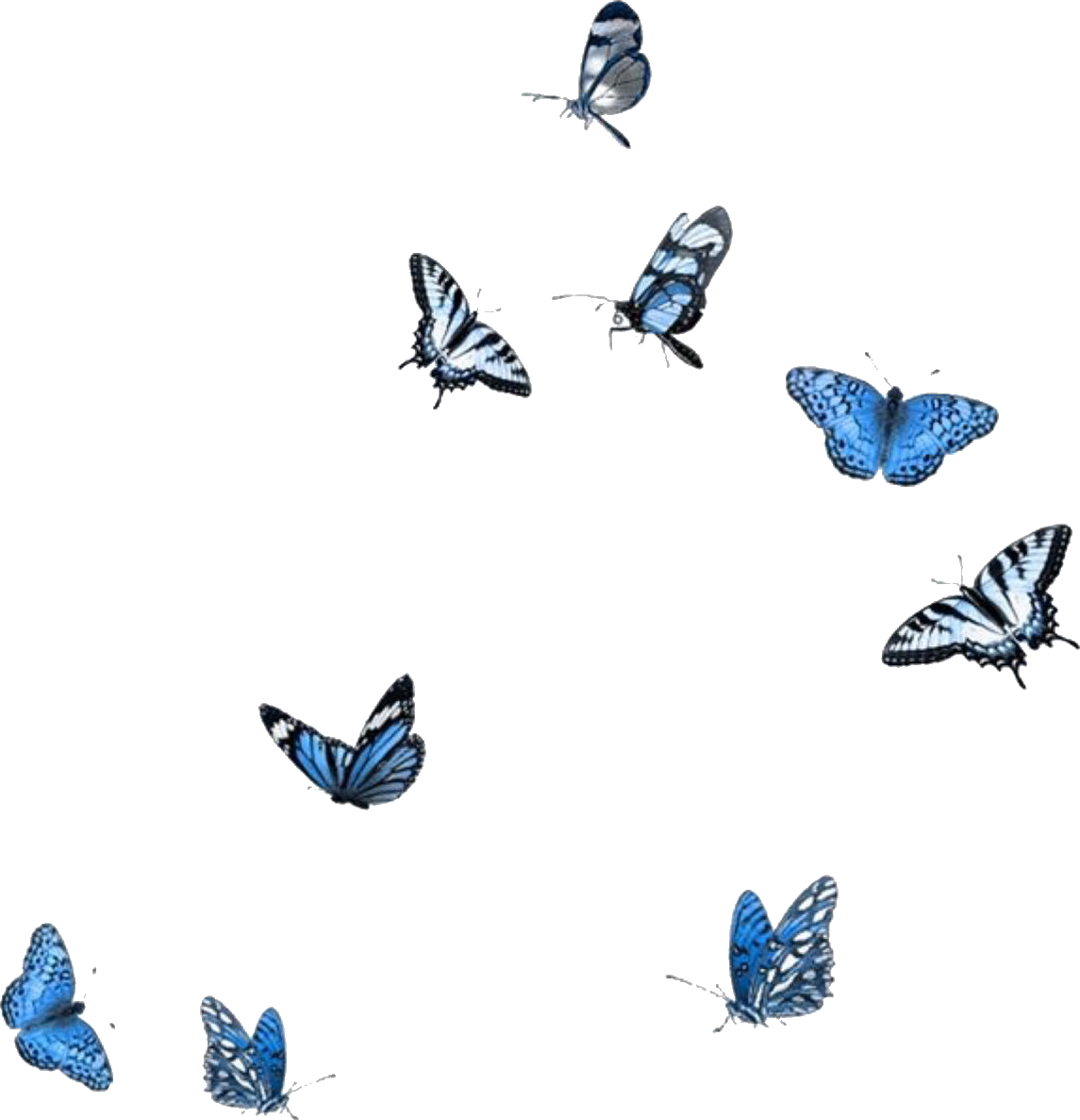Aesthetic Blue Butterfly Background Vsco - Largest Wallpaper Portal