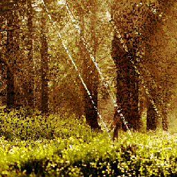 edit forest