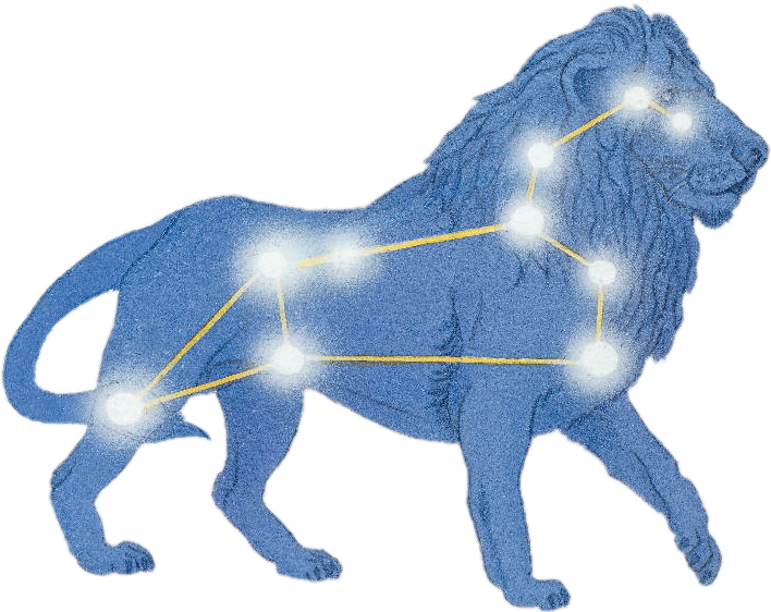 Фигура Льва Созвездие. Созвездие Льва для детей. Созвездие Льва для детей 1 класса.