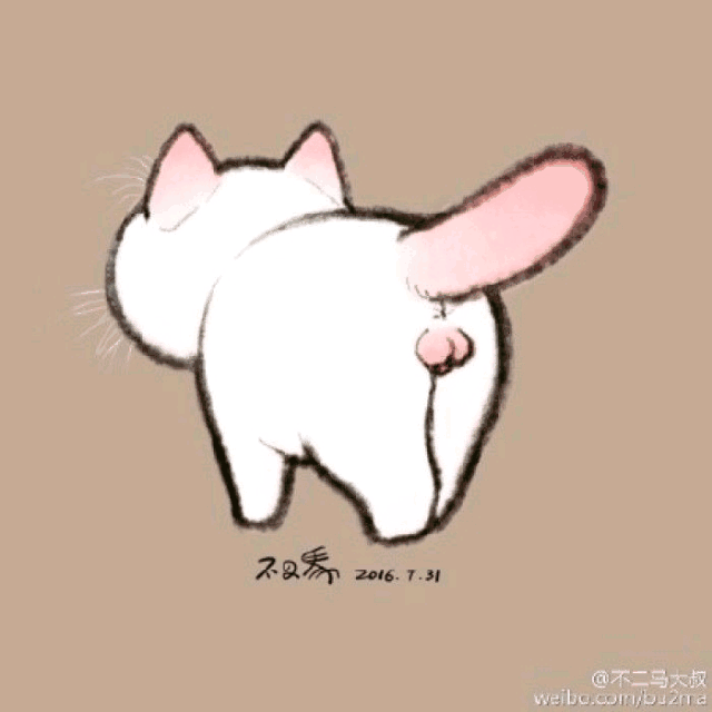 Cats Cat Love Miao Miao Gif By 葫芦糖 Cats Cat Love Miao Miao Gif By 葫芦糖