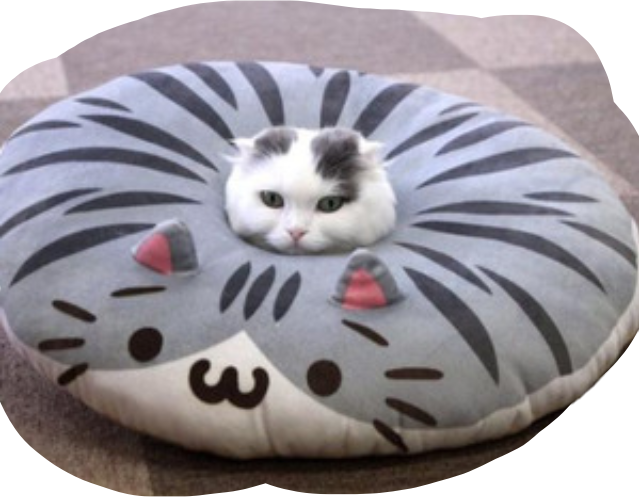 pusheen bean bag