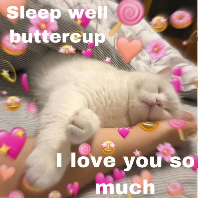 Cat Love Meme Image By Lispies Cat Love Meme Image By Lispies