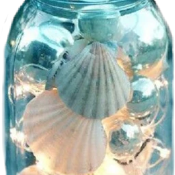 freetoedit scseashell seashell