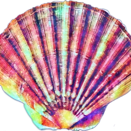 freetoedit scseashell seashell