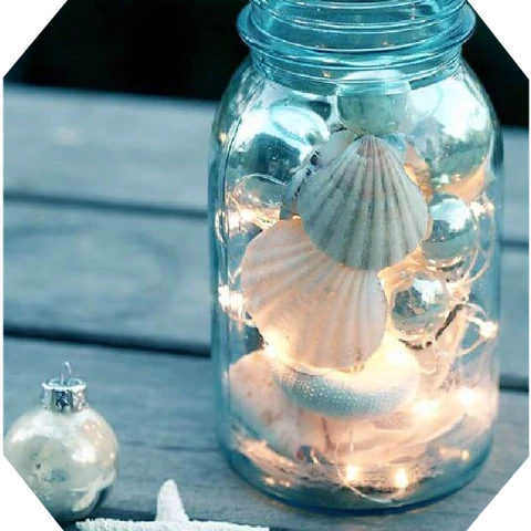 #scseashell,#seashell,#fairylights,#dorm,#shells,#freetoedit