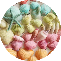 scseashell seashell seashells background colorful freetoedit