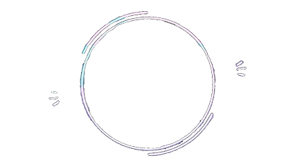 circle lines stickers white freetoedit