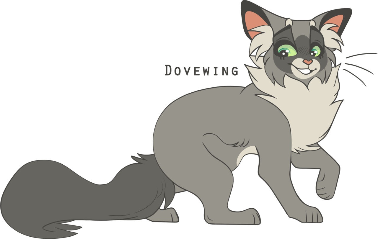 Голубка коты. Коты воители голубка. dovewing коты воители. коты воители котята голубки. голобка котов воителей.